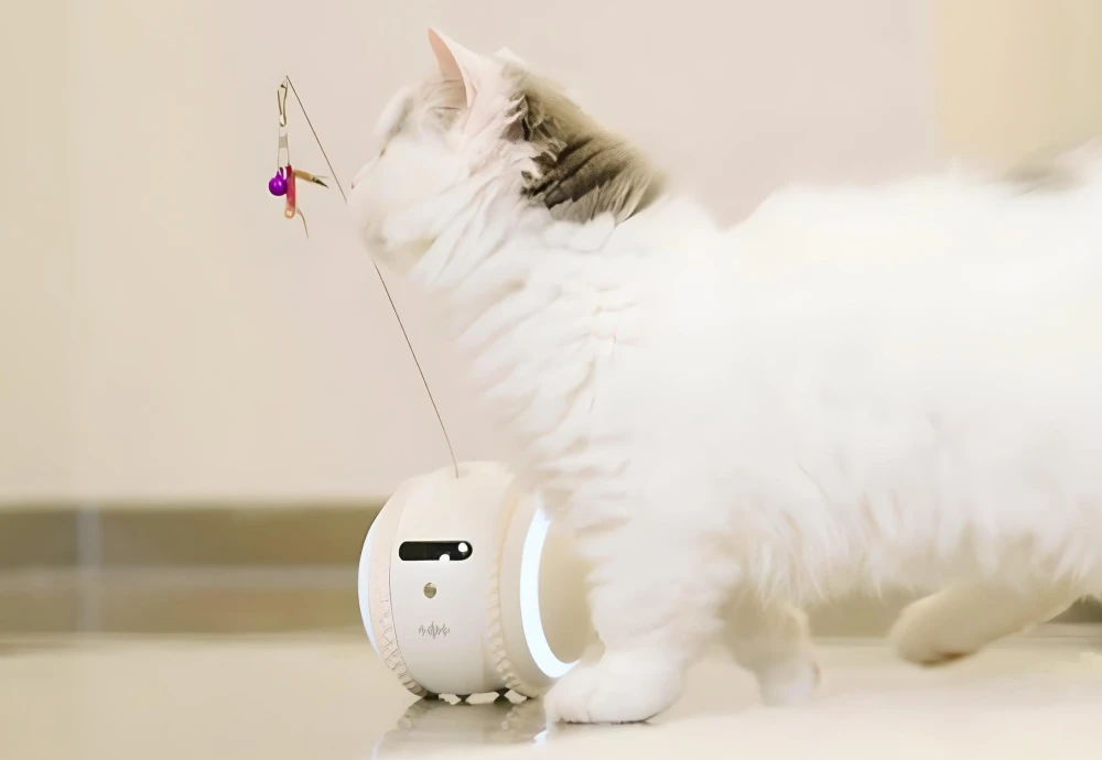 pet cameras for home
