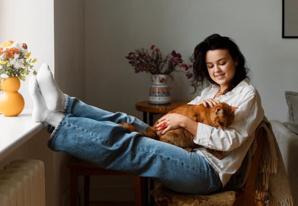 camera to watch pets at home